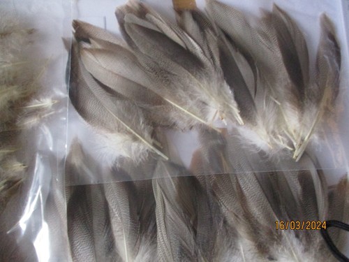 Bronze mallard feathers bulk