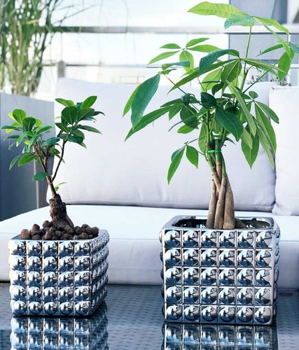 Flower pot home decor modern - flower,