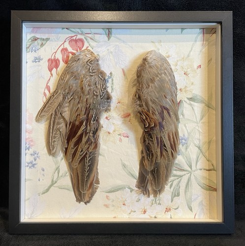 Pair framed pheasant - a,