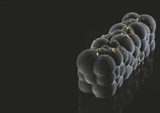 Pavoni Modern Cake Silicone