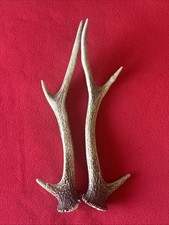 PAIR OF SIKA DEER ANTLERS