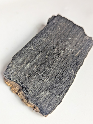 Fossilised wood specimen - fossilised,