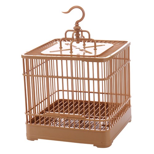 Set bird display - 1,