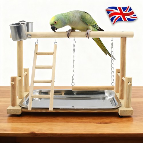 Bird playground parrot - bird,