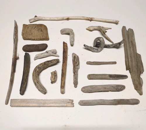 Mixed collection driftwood - collection,