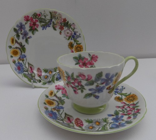 Shelley hedgerow trio cup - shelley,