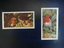  Brooke Bond "British Birds" 1954 original tea-card No.16 & 1973  "The robin".  