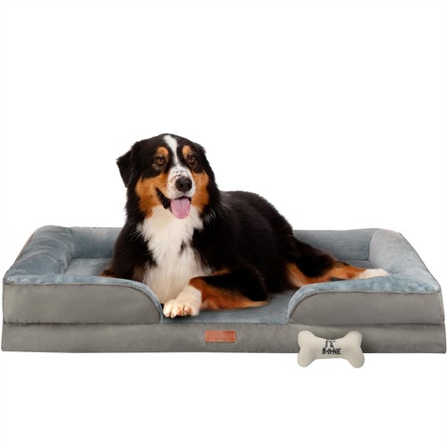 Fur bone dog - &, with