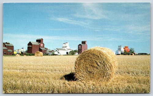 Postcard grain elevators - elevators, and