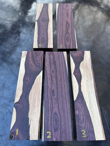 Camatillo mexican kingwood - /,