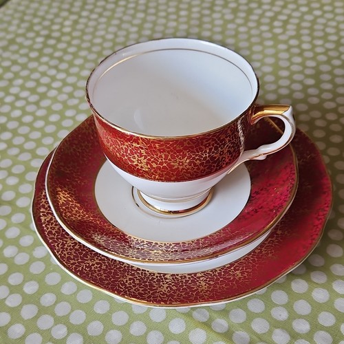 Salisbury bone china tea cup - salisbury,