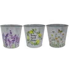 Galvanised Metal Pot - Spring