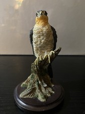 Country Bird Collection