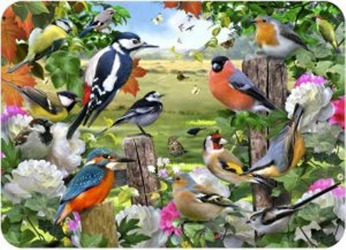 British birds tuftop worktop - british,