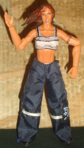 Wwe wrestling figure finishing - wrestling,