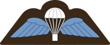 Parachute Wings Airborne PARA