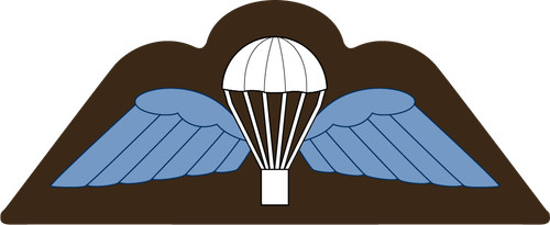Parachute wings airborne - wings, para