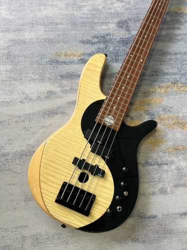 String electric bass - string,