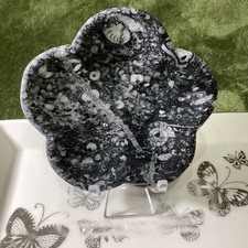 Crystal Fossil Stone Flower