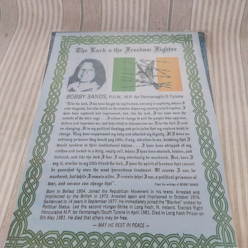 Irish republican postcard - irish,