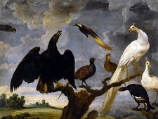 A CONCERT OF BIRDS Accent Tile