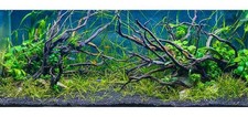 Fish Tank Root Wood Aquarium