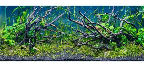Fish tank root wood aquarium - tank,