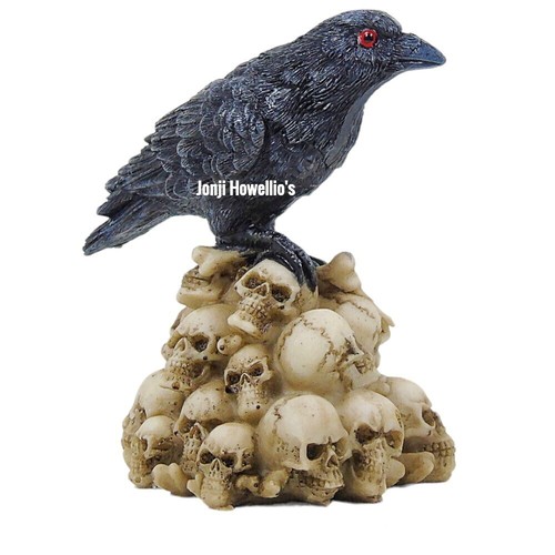 Raven skull pile - raven,