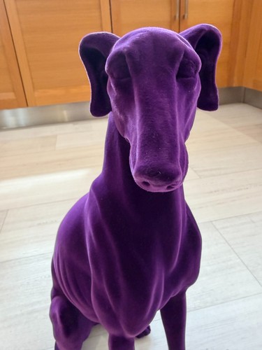 Decorative greyhound whippet - decorative, greyhound/whippet