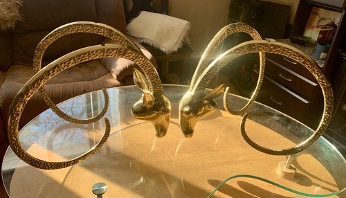 Vintage brass ibex - brass, head