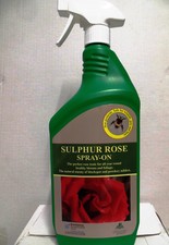 Sulphur Rose blackspot fungal