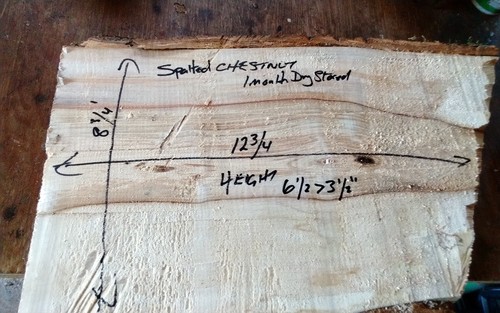 Spalted chestnut bowl blank - chestnut,