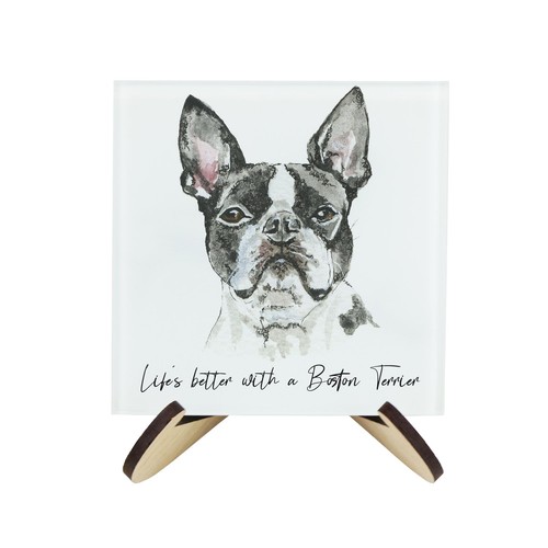 Boston terrier coasters - terrier,