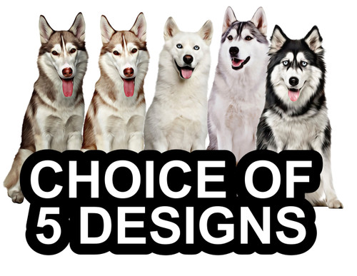 Siberian husky self - siberian,