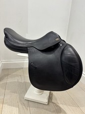 Harry Dabbs Xjs  Jaguar Jump