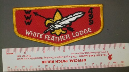 Boy scout 499 - boy, feather