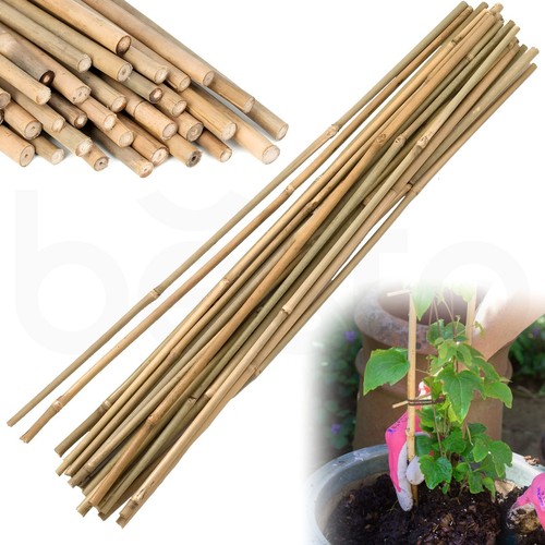90cm bamboo garden canes plant - 90cm,