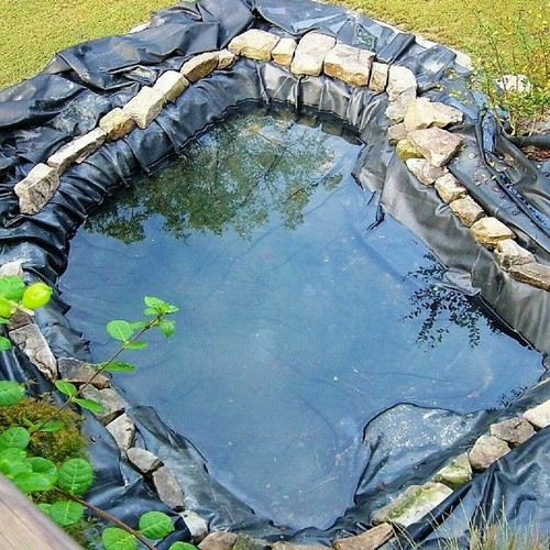 Fish pond liner garden - pond,