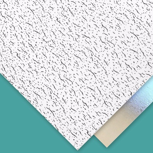 Tatra vinyl suspended ceiling - suspended,