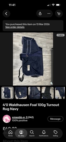 Foal rug - 4,