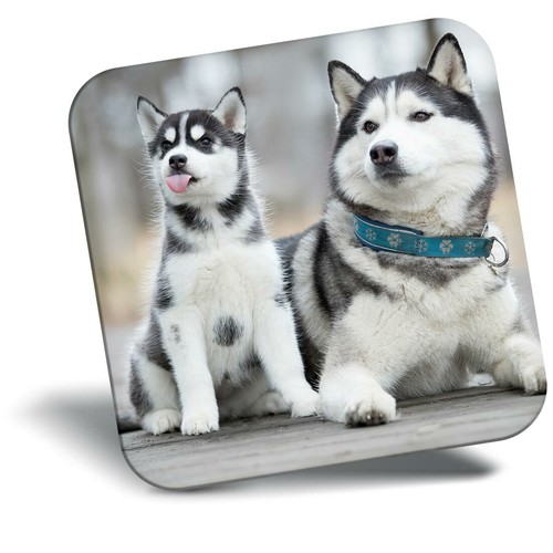 Awesome fridge magnet husky - awesome,