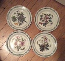 Portmeirion botanic garden