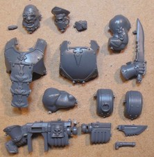 Astra Militarum - Bullgryns -