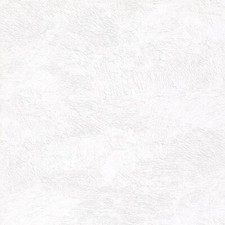 Caravan Wallpaper, Wallboard