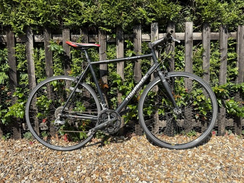 Ridgeback ozone genesis day - genesis,