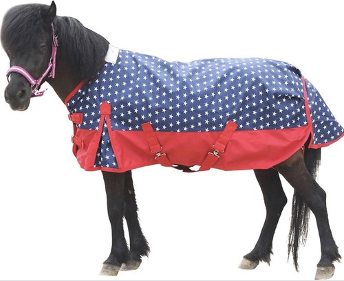 Mini shetland pony foal - mini,