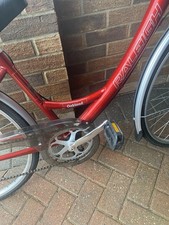 Raleigh Women's Bike