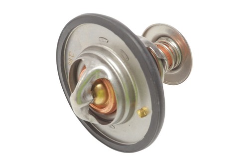 Bogap premium thermostat - thermostat, for
