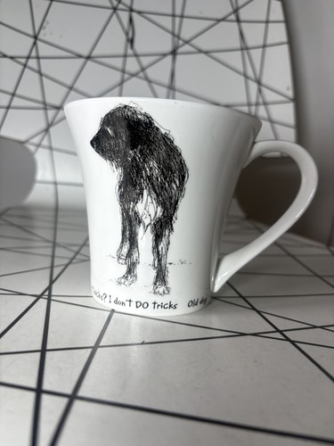 Hudson middleton dog - hudson,