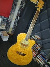 washburn electro acoustic